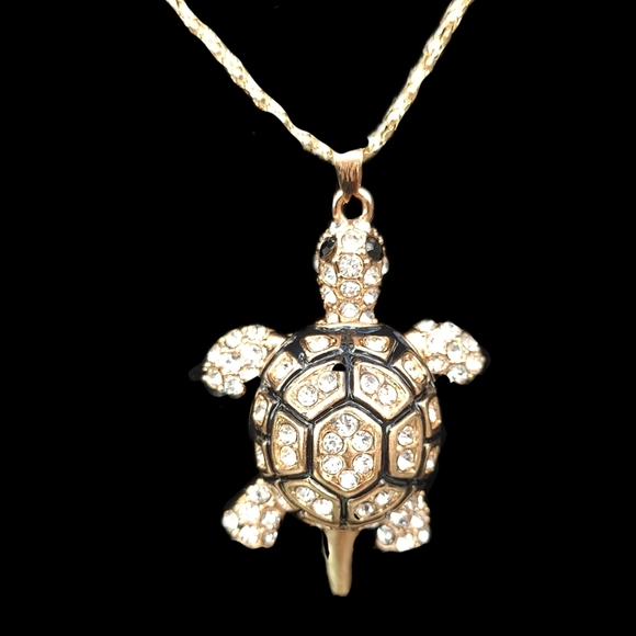 Beautiful Golden Tortoise - Picture 3 of 4